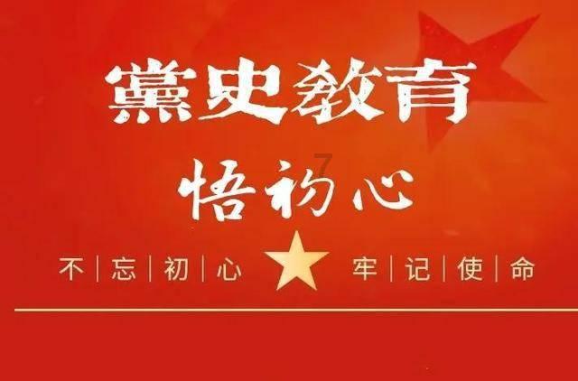 猫头鹰森林逃生